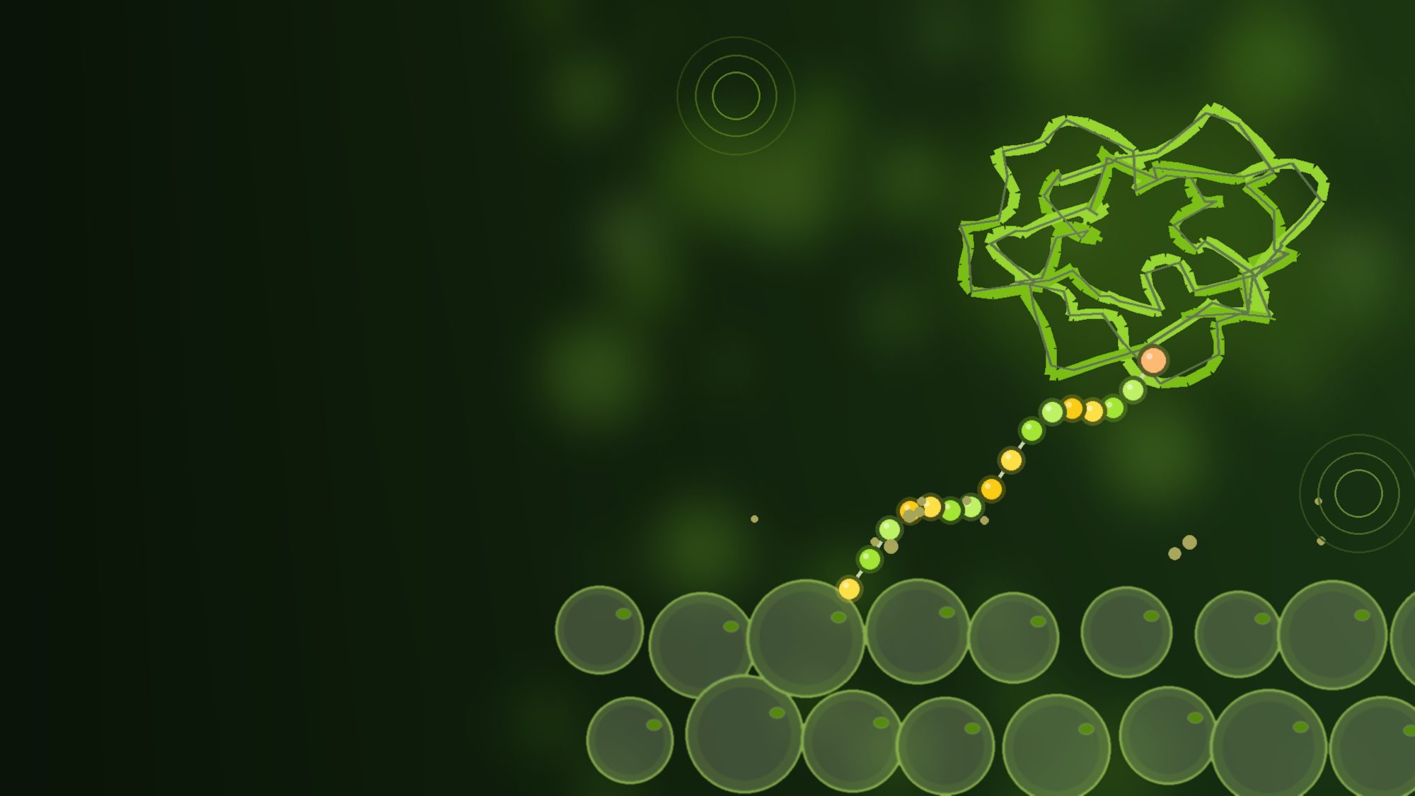 Green illustration of a short peptide chain breaking away from a larger folded protein above a layer of fat cells